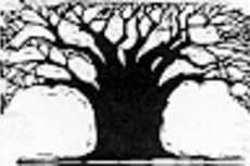 Profile picture for user NewDeal